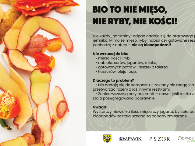 BIO w mieście – czy to ma sens? - 1