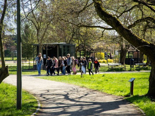 Ekologiczna przygoda zamiast lekcji - tak świętowali Dzień Ziemi  - 4