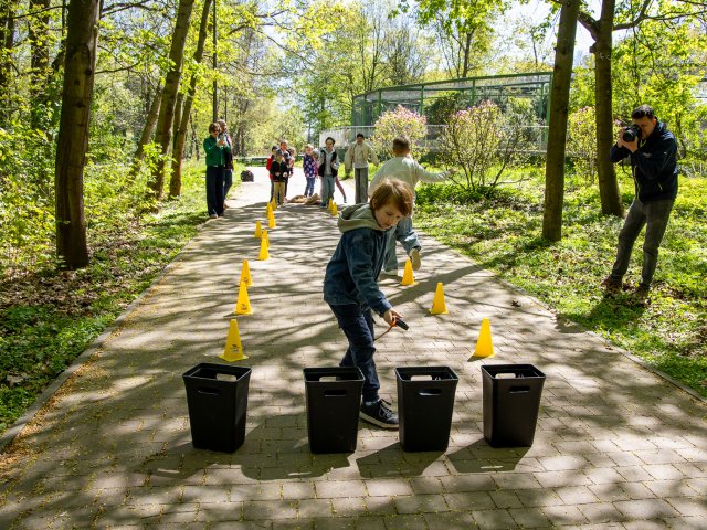 Pszczoły krainki nowymi mieszkańcami zoo - 5