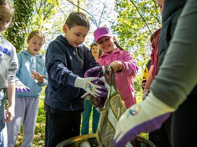 Pszczoły krainki nowymi mieszkańcami zoo - 6