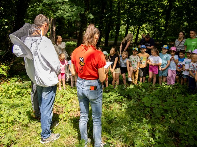 Pszczoły zamieszkały w bębnach po pralkach. Efekt zaskoczył wszystkich - 3