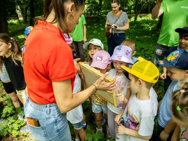 Pszczoły zamieszkały w bębnach po pralkach. Efekt zaskoczył wszystkich - 6