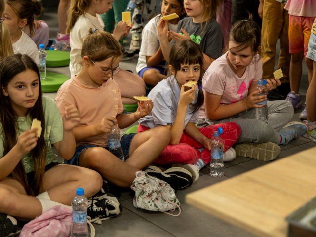 Pszczoły zamieszkały w bębnach po pralkach. Efekt zaskoczył wszystkich - 18